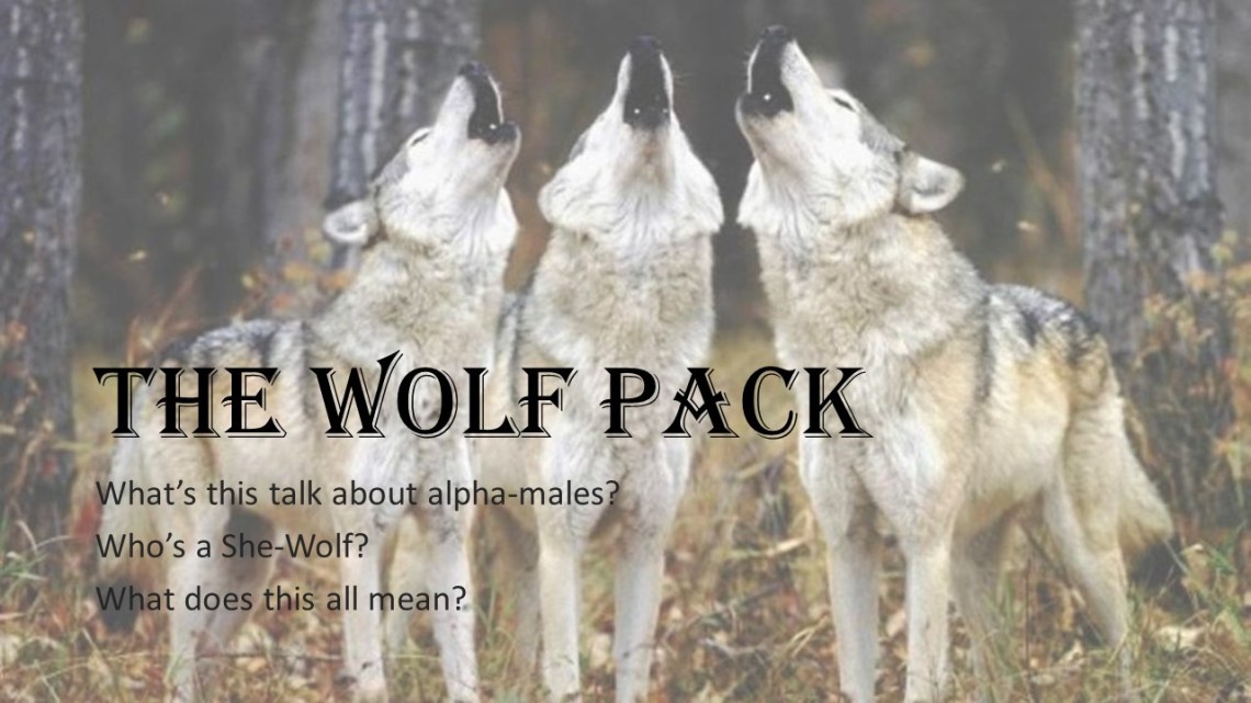 Pack2