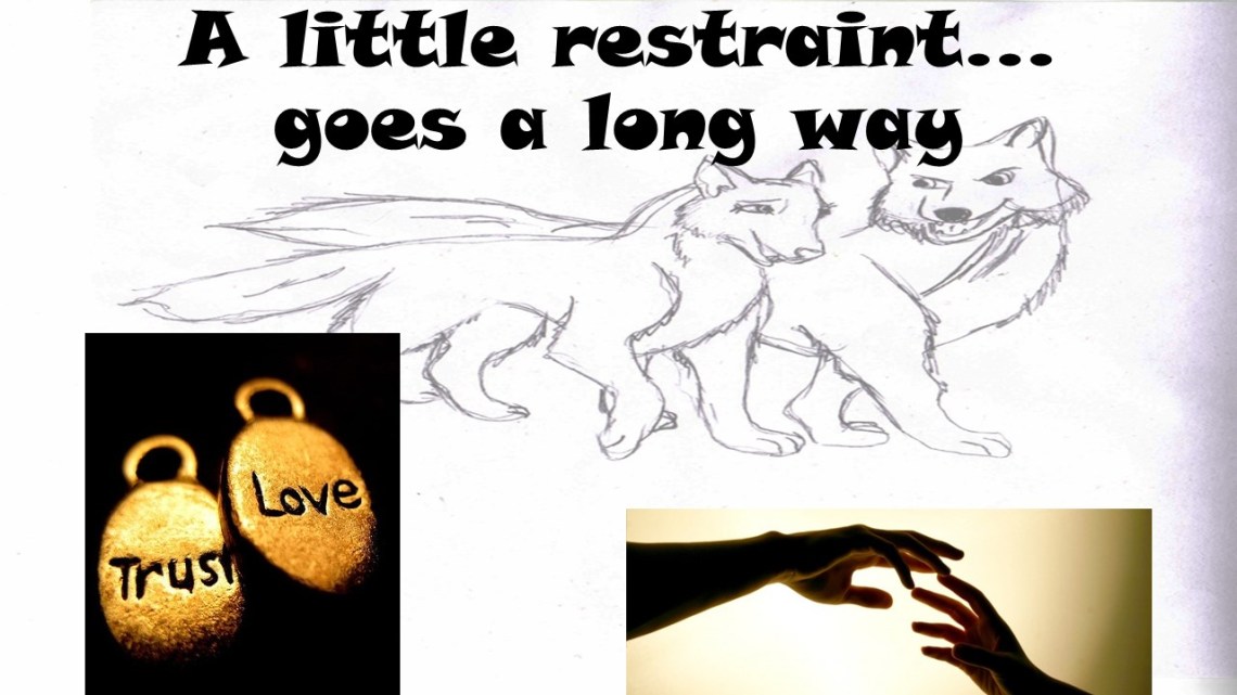 little restraint2